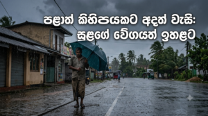 ළාත් කිහිපයකට අදත් වැසි: සුළගේ වේගයත් ඉහළට