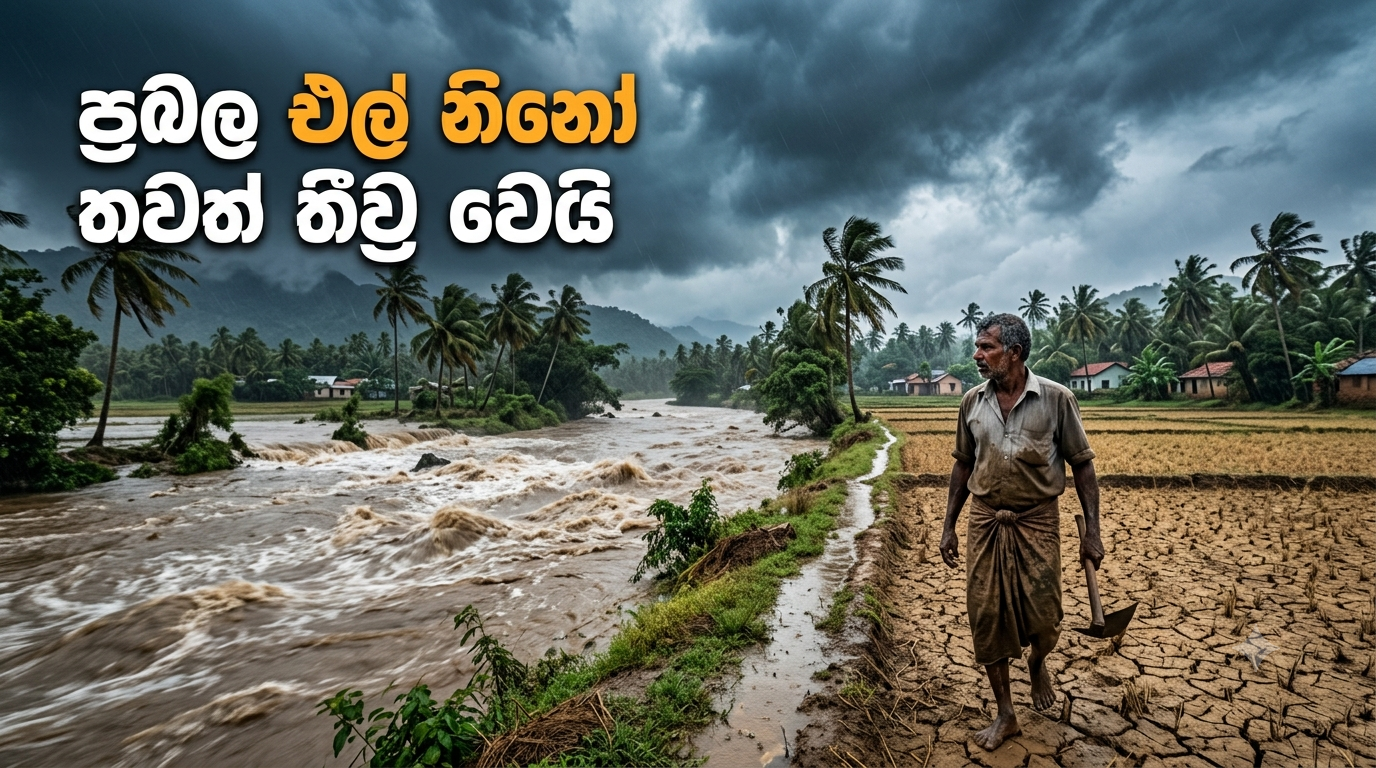 ප්‍රබල එල් නිනෝ තවත් තීව්‍ර වෙයි